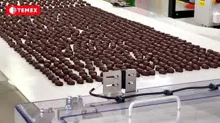 PackMaster | PackMaster Line &ndash; automated line for sorting and storing chocolate truffles