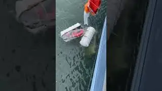 life raft emergency boats. (navy)
