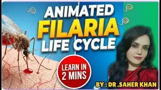Life Cycle of Wuchereria bancrofti | Simple & Easy Explanation #lifecycle #filariasis#animated#