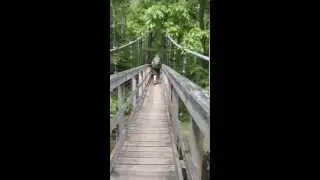 Crossing the Kimberling Creek Suspension Bridge