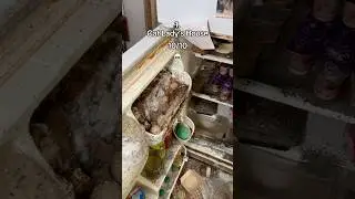 Whatever you do, DO NOT open fridges in abandoned places 💀