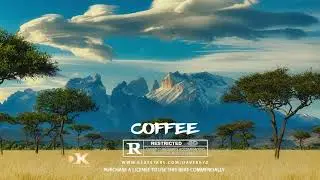 Burna boy x Koffee x Patoranking Type Beat | 2023 