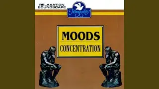 Concentration