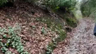 Trekking through muddy bushes