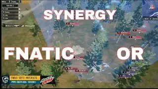 Sge chicken dinner, Sge vs Fnc vs OR intense fight in last circle pmpl South Asia finals highlights
