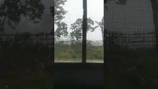 #heavy #rainfall just now in Karbi Anglong,Assam #shortvideo #assam #karbianglong #floods
