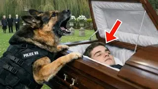 Een politiehond bleef tegen een kist blaffen wat hij ontdekte had nog nooit iemand gehoord