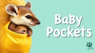 Wait&mdash;Quokkas Have Built‑In Baby Pockets!