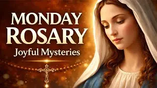 MONDAY HOLY ROSARY 🌹 JANUARY 26, 2026 🌹  JOYFUL MYSTERIES OF THE ROSARY