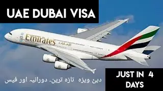 How to get Dubai Visa online || Do UAE visas open for Pakistanis @visaways2538 
