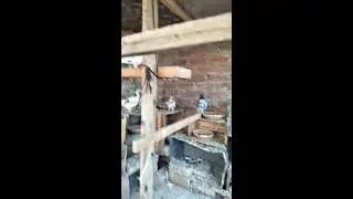 ababeel pigeon is live!
