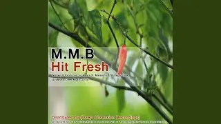 Hit Fresh (Original Mix)