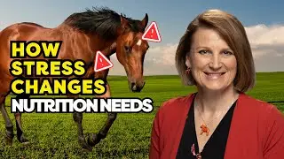 Boost Horse Performance With Nutrition &ndash; Dr. Carey Williams
