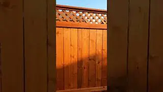 Wooden Privacy Fence Ideas#garden #gardeningtips #landscape