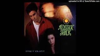 Acoustic Shack - Fret Buzz (1993) - 06 - Radio Play