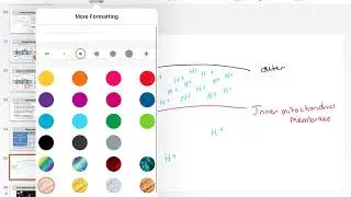 08 The ETC and ATP synthesis