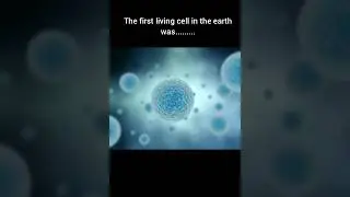 first cell #microbes#science#knowledge#life#viral#bacteria#prokaryoticcells#world#earth#primitive