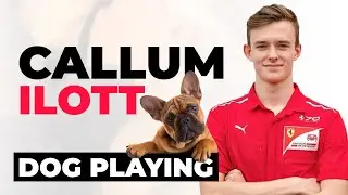 Formula 1 Driver Callum Ilott PLAYING WITH HIS DOG!