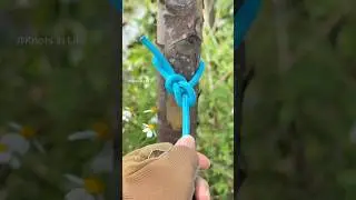 How to Tie a Secure Bowline Knot for Camping & Outdoor Adventures!