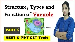 Vacuole | Structure, Function, Types of vacuole | NEET | MHT-CET | Cell biology