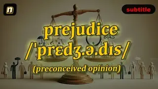 [n] Prejudice meaning (preconceived opinion) with 5 examples