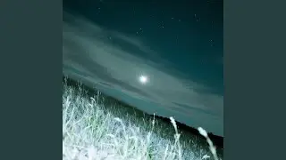 Lonely Star