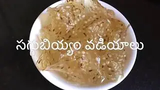 సగ్గుబియ్యం వడియాలు తయారీ విధానం | Sabudana Papad Recipe | How To Make Sago Papad At Home In Telugu