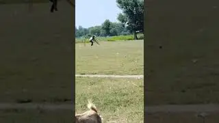 #gullicricket #cricketlover #cricket