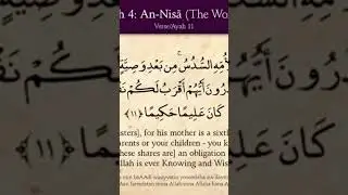 👁️ MO AB 🍎🗽🗽🍉 RUTH the Moabitess 👁️ MARY ⭕ AM ⭕ OLIVE 👁️ HUE ❣️ Copper TONE 🦙💜 YEHUDA 🫁 AH 🧠🪄🌏 ASIA