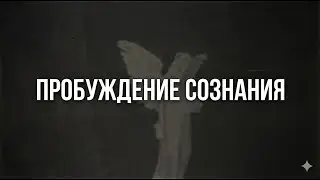 Чувство 