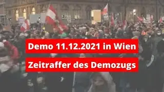 Der ganze Demonstrationszug im Zeitraffer | Wien, 11.12.2021