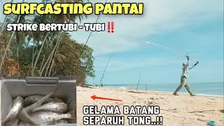 Surfcasting pantai | strike gelama bertubi - tubi hampir penuh tong‼️ {#Vlog103}
