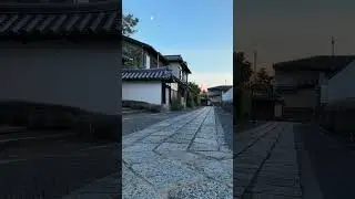 【Free & Quiet】Kyoto Local Shows You an Empty Temple Empty KYOTO JAPAN Real Kyoto Myoshinji Temple