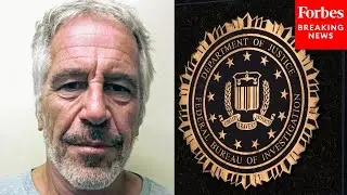 Investigator Reveals 'Missed Opportunities' For FBI, Palm Beach Police To Charge Epstein With Crimes