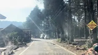 तामली की ओर रास्ते में मिला स्याल (लोमड़ी )