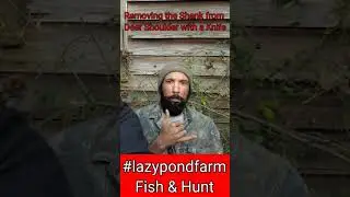 Easy Shank Removal with Knife NO SAW #lazypondfarm #shorts Deer Processing Hacks Tips and Tricks