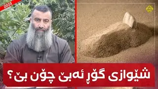 لە ئیسلامدا شێوازی گۆڕ ئەبێ چۆن بێ؟ مامۆستا هەڵۆ mamosta halo