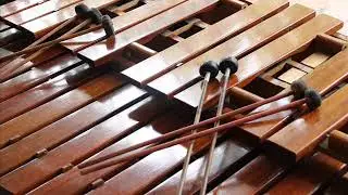 MARIMBA INTERNACIONALES CONEJOS - ALEJANDRA