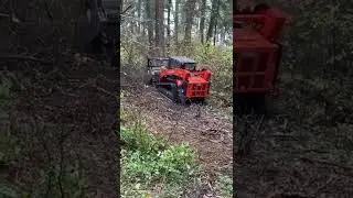Interior Fire Mitigation Mulching Underbrush with Kubota SVL and FAE Mulcher Project #1-KS