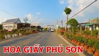 CẦU ĐÔNG KINH - KINH BẢO VÀNG - LÀNG HOA GIẤY PHÚ SƠN - CẦU NĂM TÁNG | CHỢ LÁCH - BẾN TRE 08-01-2025