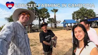 Cambodia: Freshwater Lobster, Palm Juice & Rural Adventures! 🇰🇭