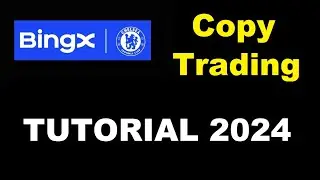 Copy Trading BingX 2024 - Tutorial Paso a Paso
