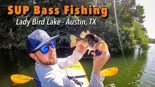 First SUP Bass! Fishing Lady Bird Lake in Austin, TX (Festival Beach)
