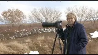 AstroBIRDa's photography in the Bosque del Apache NM with Sandhill Cranes and Snow Geese