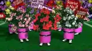 Flower Carpet Rose Champs