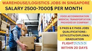 Warehouse/Logistics Jobs in Singapore🇸🇬| Salary 2500-7000$ | S pass & E pass jobs