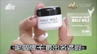Fei Beauty Malu Wilz camouflage cream