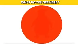 Photo IQ and Riddles That Will Test Your Vision - What Do You See ?