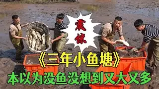 三年沒幹的小魚塘，本以爲沒魚，沒想到又大又多#小飛哥#三農 #新農人計劃2026 #鄉村守護人 #戶外