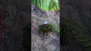 Dad and Son plays ARK 